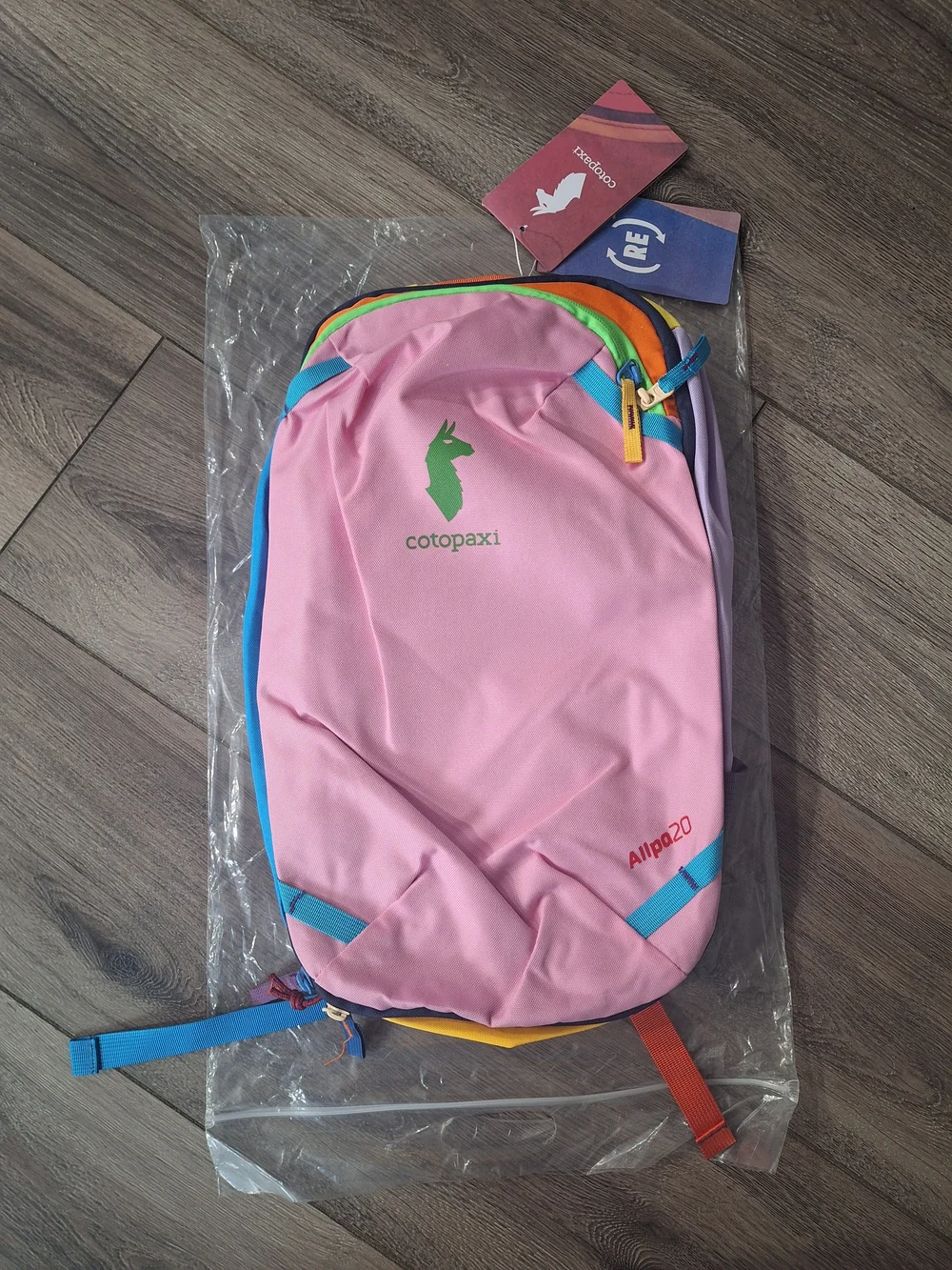 Cotopaxi Kids Pink Allpa 20L Backpack